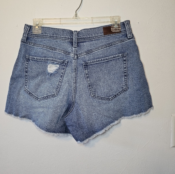 Hollister Denim Shorts - Picture 3 of 5